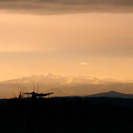 Appartement, Vue Sur Les Pyrenees Pouillon Экстерьер фото